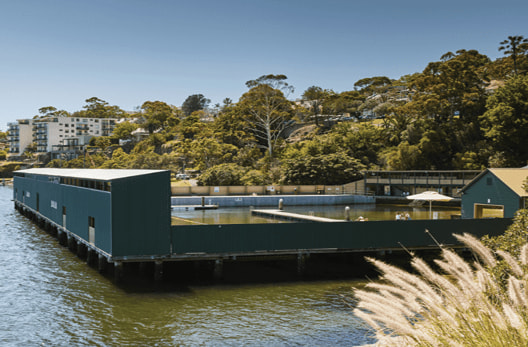 The Dawn Fraser Baths as viewed from the adjacent shoreline. Photography by Arthur Vay.