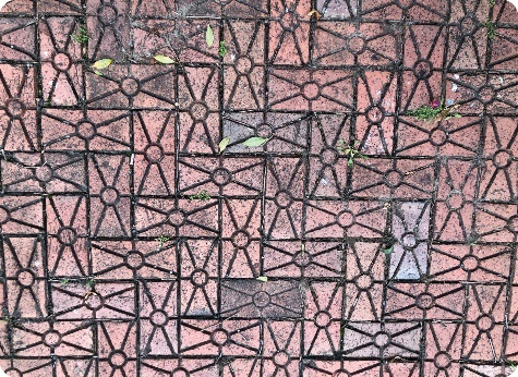 Footpath tiles with leaves 