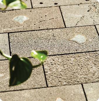 Tiles on a footpath, with leaves.