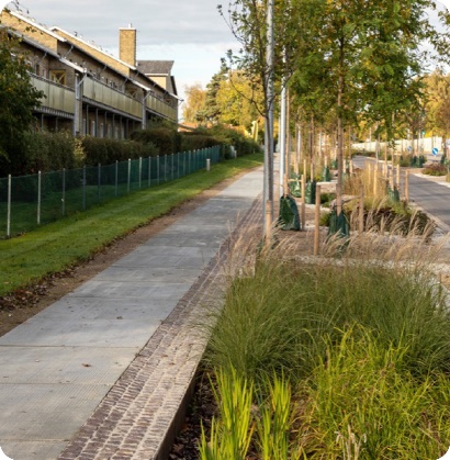 A footpath with a wide planting area separating it from the road.
