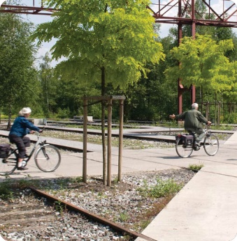 People riding bikes on a path, next to a planting area.