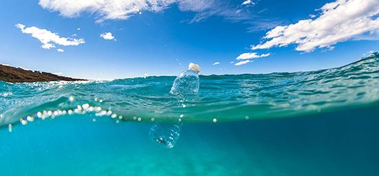 Clean seas - turn the tide on plastic
